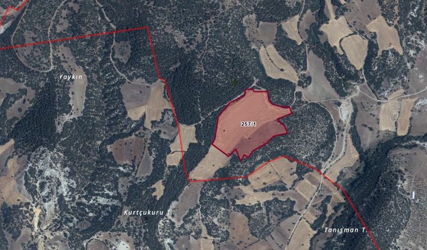 Uşak'ta 61,5 dönümlük tarla jeotermal sera için aylık 100 bin TL'ye kiraya veriliyor