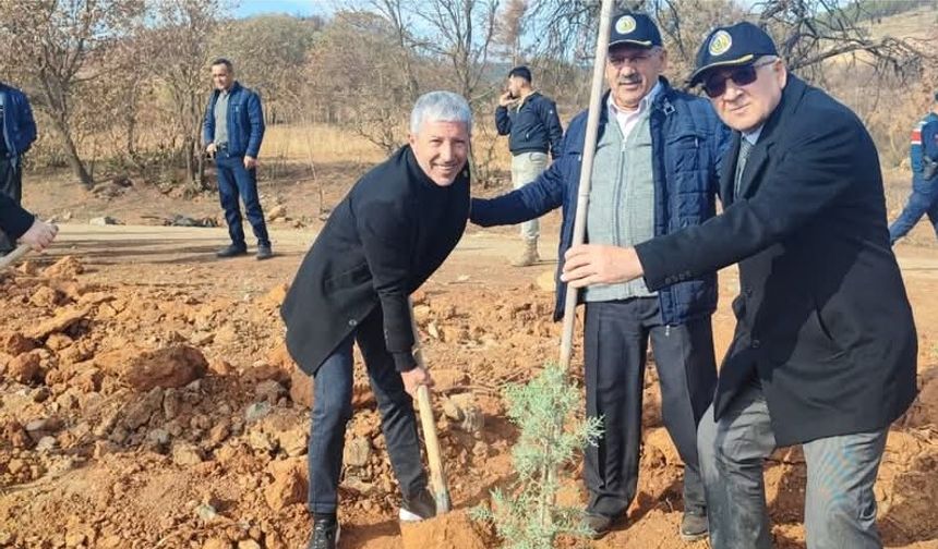 Uşak'ın Banaz ilçesine bağlı Bağkonak köyünde fidan dikilecek