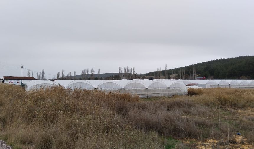 Uşak'ın Banaz ilçesinde 3 bin kişiye iş imkanı için çalışmalar sürüyor