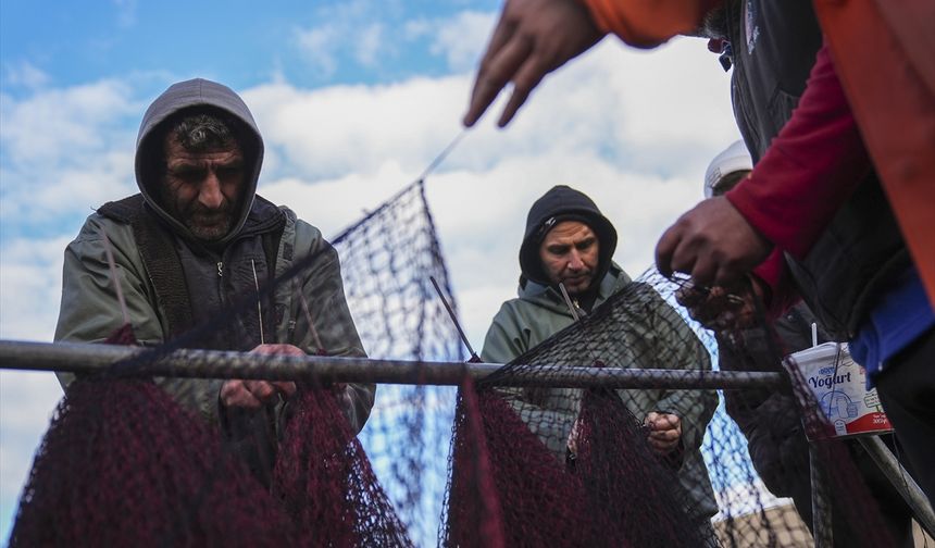 Karadeniz'de hamsi Ege'de sardalya yüz güldürdü