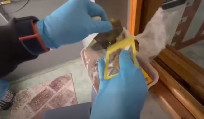 Uşak'ın da aralarında bulunduğu 63 ilde operasyon