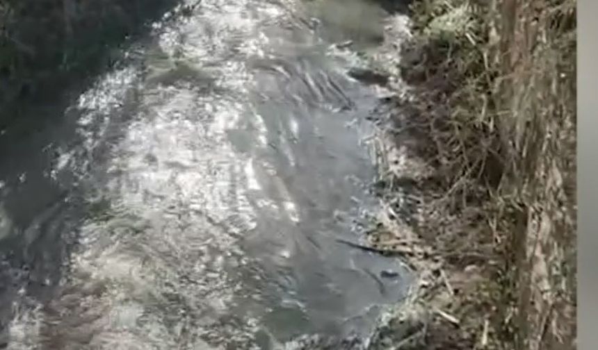 Uşak ve Kütahya'yı besleyen Gediz'i kirletenlere 4 milyar TL ceza!