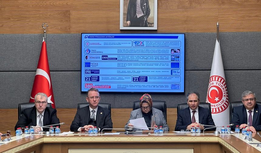 Uşak ve diğer 4 kentin elektrik altyapısını kontrol eden OEDAŞ yönetimi, milletvekilleriyle buluştu