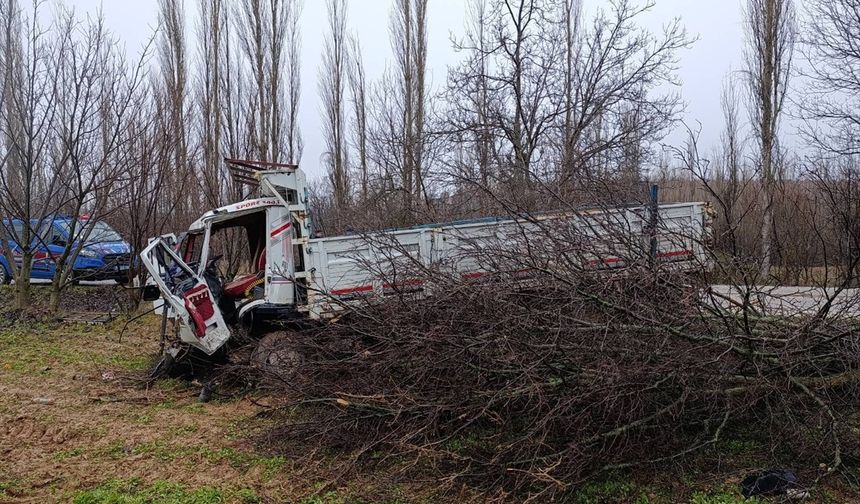 Banaz'da ilginç kaza! Kamyon ağaca çarptı 4 kişi yaralandı!