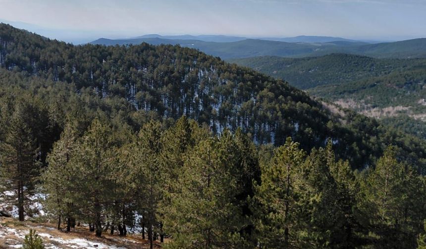 Uşak ve Banaz'ın su kaynaklarını barındıran Bahadır, maden projesinden zarar görebilir