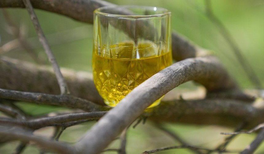 Seferihisar'daki tadım merkezinde 90 farklı lezzet sunuluyor