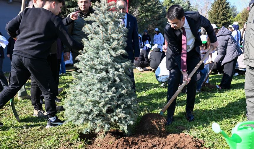 Uşak Valisi Serdar Kartal fidan dikti