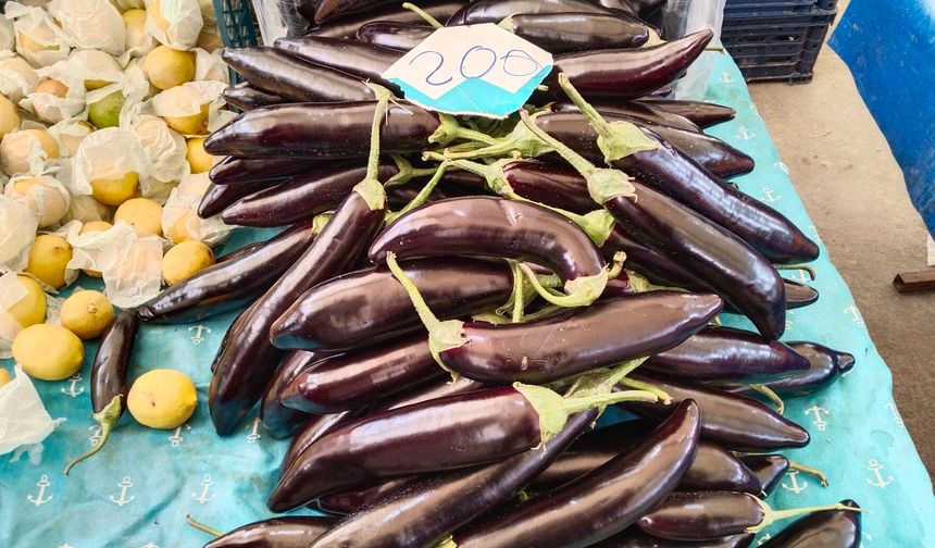 Uşak'ta patlıcanın kilosu 200 TL'ye çıktı!