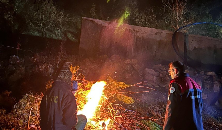 Uşak İl Tarım ve Orman Müdürlüğü hafta sonu eksi derecelere düşen sıcaklıklar sebebiyle saha çalışmaları yaptı