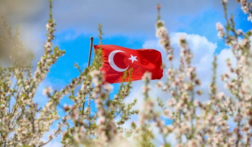 Uşak'ın Ulubey ilçesindeki badem ağaçları çiçek açtı, doğa beyaza büründü