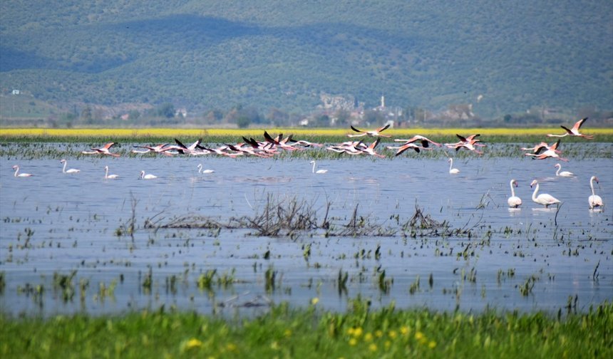 Gölmarmara, Salihli ve Saruhanlı arasındaki Marmara Gölü yeniden eski günlerine döndü