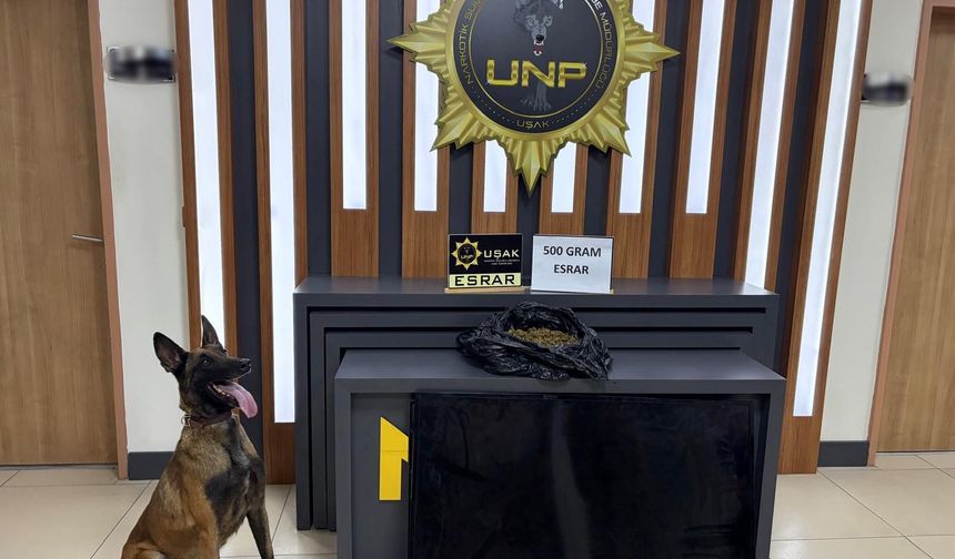 Uşak'ta gençleri zehirleyen maddeleri LED TV ekranına saklamışlar!