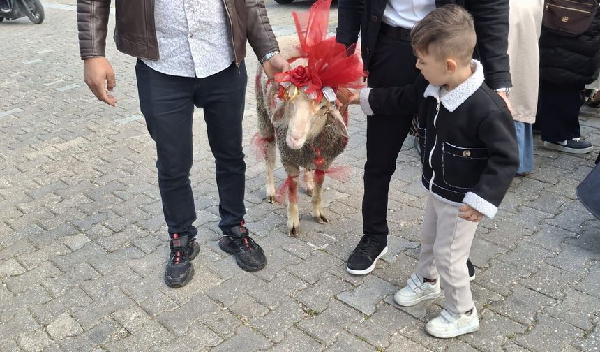 Uşak'ta nişanlı gence bayram öncesi koç hediye etme geleneği yaşatılıyor