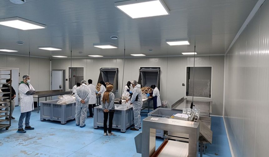 Uşak’ta yem işletmelerine yönelik denetimler yapıldı