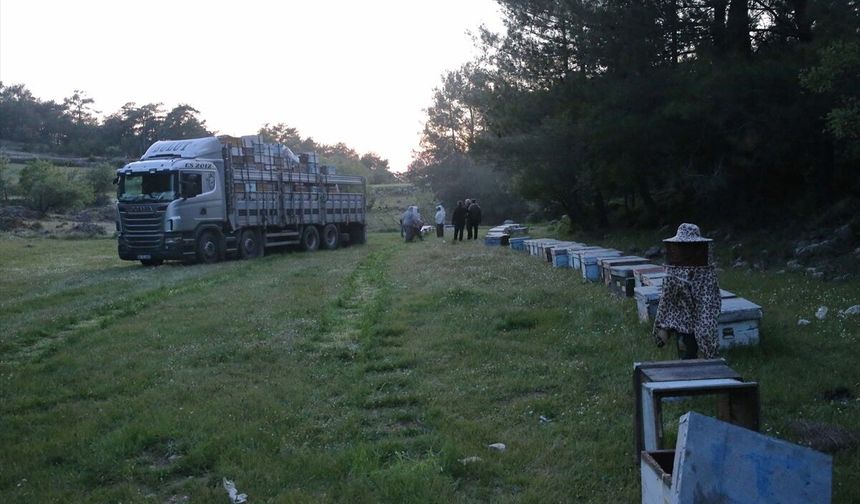 Gezgin arıcıların yayla yolculuğu başladı