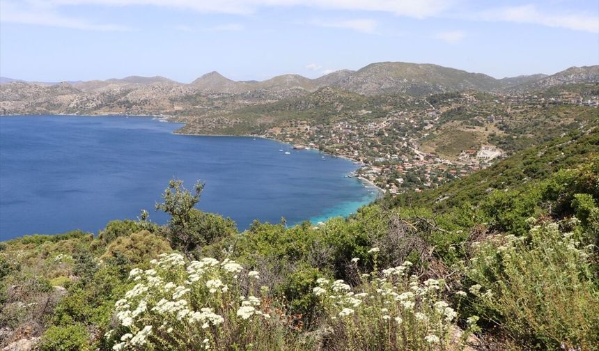 Bayramda yoğun ziyaretçi bekleyen Marmaris'te fotoğraf tutkunlarının ziyaret etti bölgedeki çalışmalar sona eriyor