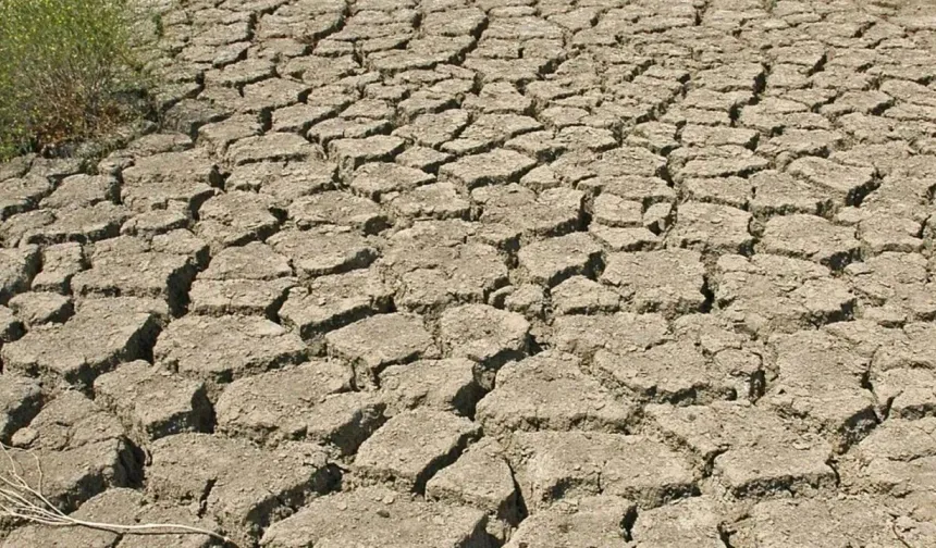 Uşaklı üreticiler tarımsal ekonomi konusunda dikkatli olmalı! Temmuz’da El Nino hava olayı bekleniyor!