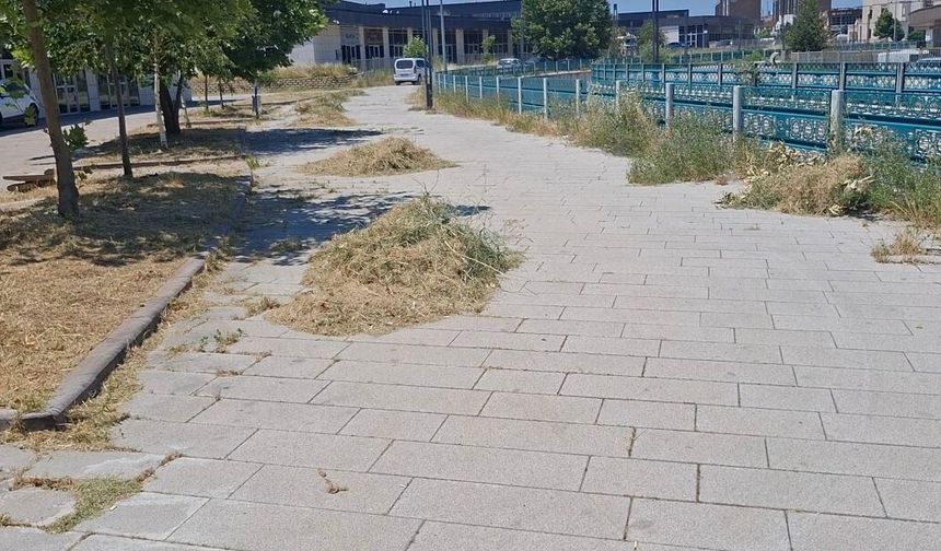 Uşak Kentsel Dönüşüm Site Yönetimi; yabani otlar ve bozuk yollar hakkında bir açıklama yaptı