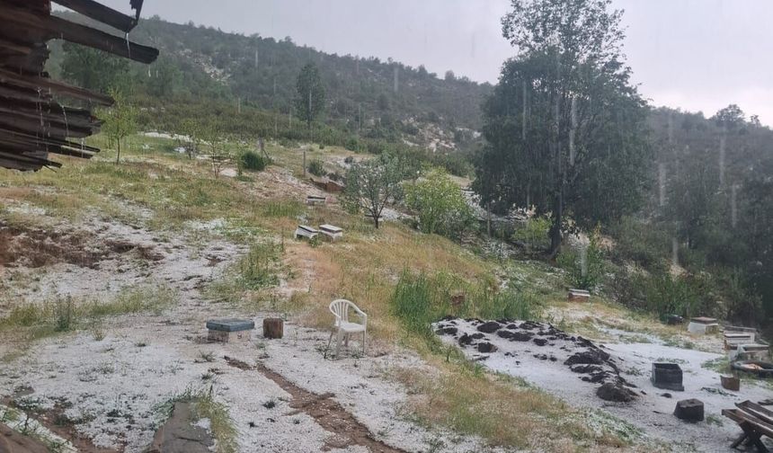 Uşak Selvioğlu Hacıhüseyinler'de 15 dakika boyunca dolu yağdı