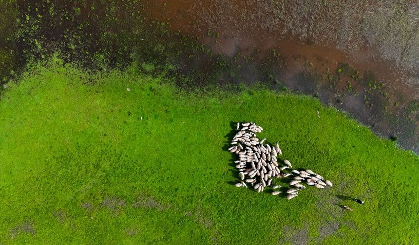 Uşak'a 1 saat 15 dakika mesafedeki Buldan Yayla Gölü'nde eşsiz doğal güzellikler!