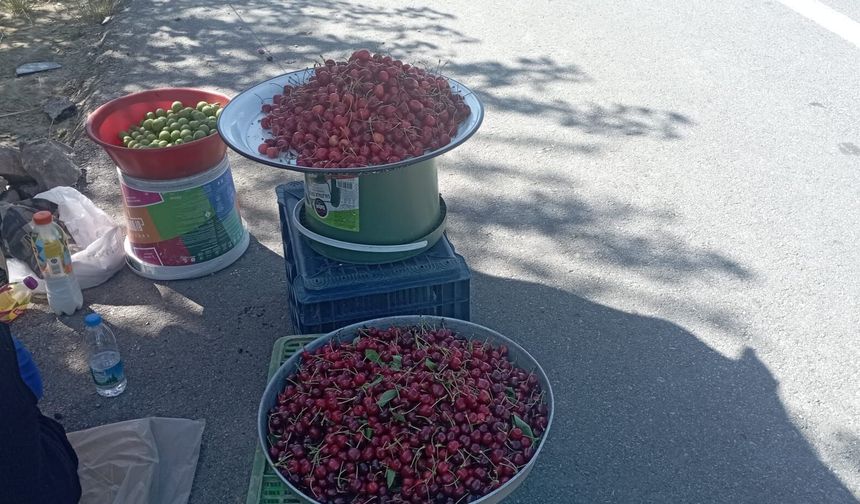 Tezgahlar kuruldu! Şaphane yolunda kiraz mesaisi başladı!