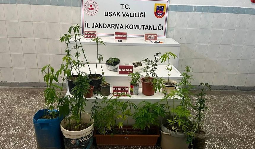 Uşak’ta yasaklı madde ticaretine yönelik operasyonlar sürüyor