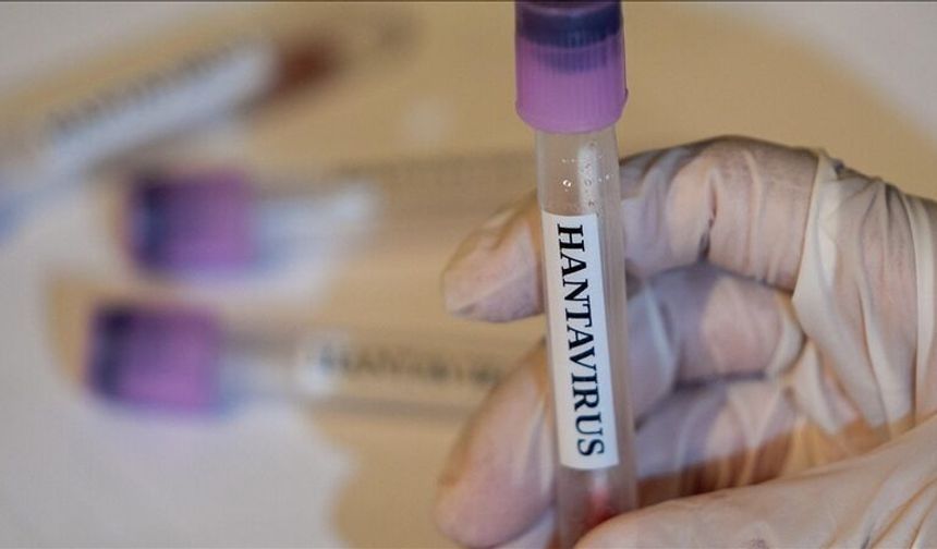 Doğal yaşam alanlarına yönelik insan müdahalesi hantavirüsün yayılma riskini artırıyor