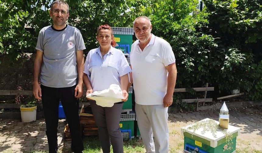 Uşak’ta arıcılık hızla büyürken, sektöre her geçen gün yeni üyeler katılıyor