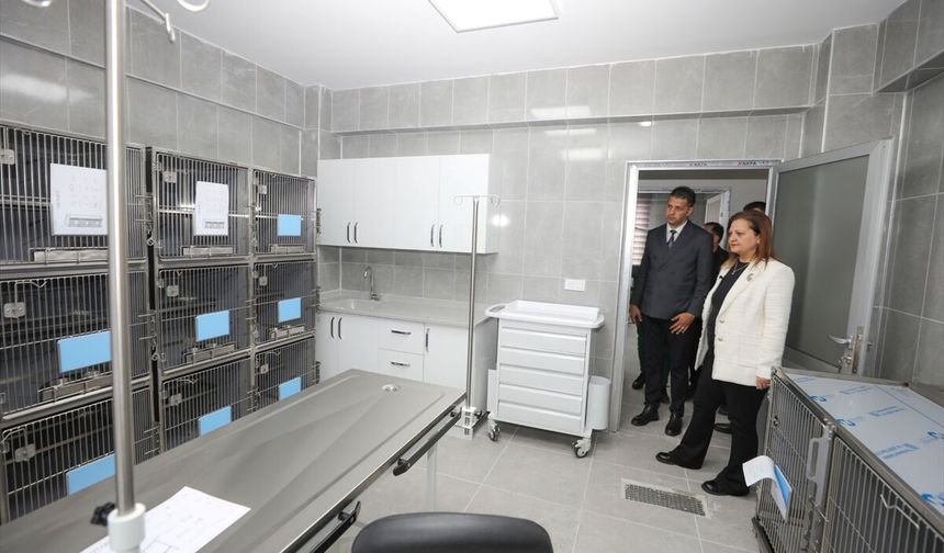 Afyonkarahisar’da sokak hayvanları için, rehabilitasyon merkezi ve "Patiköy" hizmete giriyor