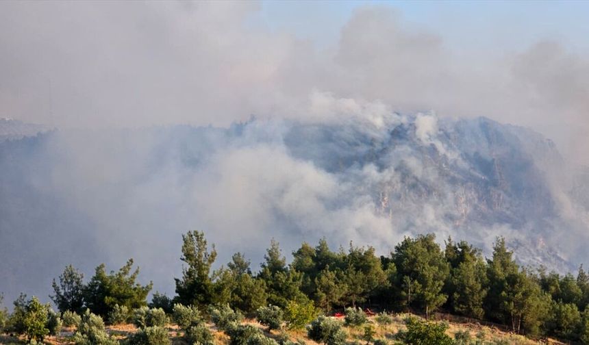 Bir sigara izmariti doğa ve kültür harikası Pamukkale'de yangın çıkardı