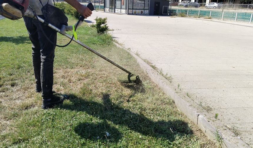 İhmal etme, temizle! Uşak’ta boş arsalardaki kuru otlar yangına davetiye çıkarıyor!