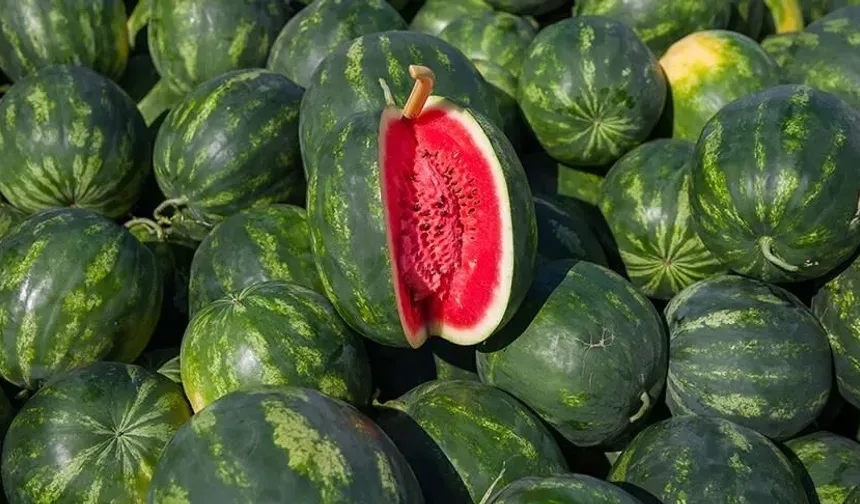 Yazın bunaltıcı sıcakların etkisini kırmak için nasıl beslenmek gerekiyor!