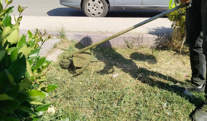 Uşak'ın Şeref Caddesi'nin bir bölümünde otlar yolunacak! Bu bölgeye araç parkı 8 saat yapılmayacak!