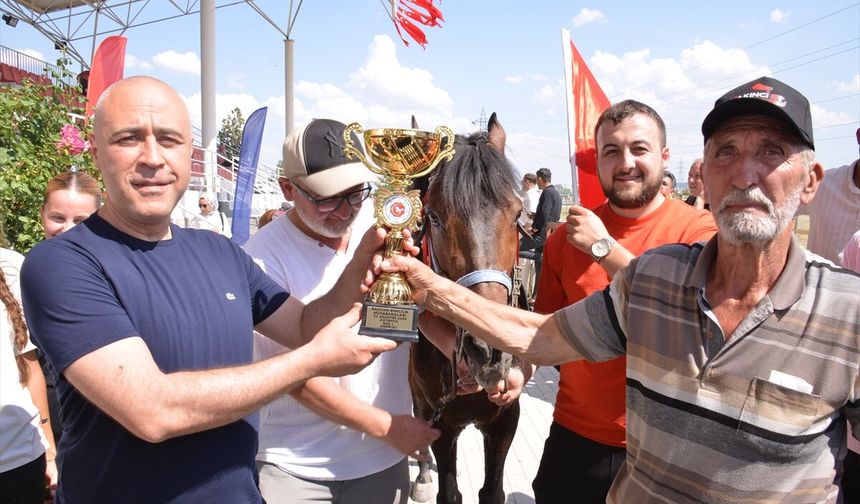 43 ilden Kütahya'ya giden 130 at, Türkiye şampiyonası için ter döktü