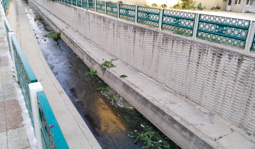 Dokuzsele'nin kiri ve kokusu vatandaşı rahatsız ediyor