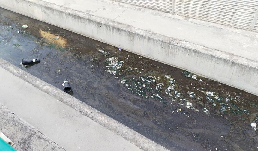 Uşak'ın ortasından geçen Dokuzsele'deki müsilaj nedeniyle koku problemi yaşanıyor