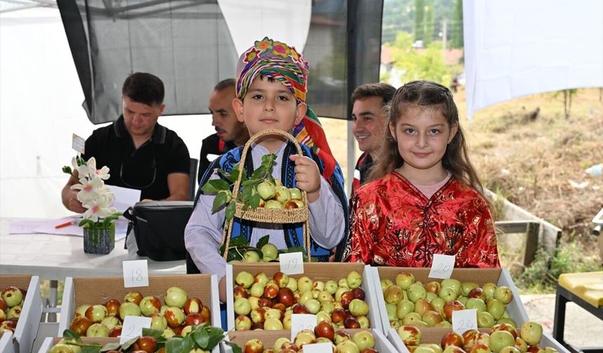 Demirci Söğütçük'te ilk kez Hünnap Festivali yapıldı