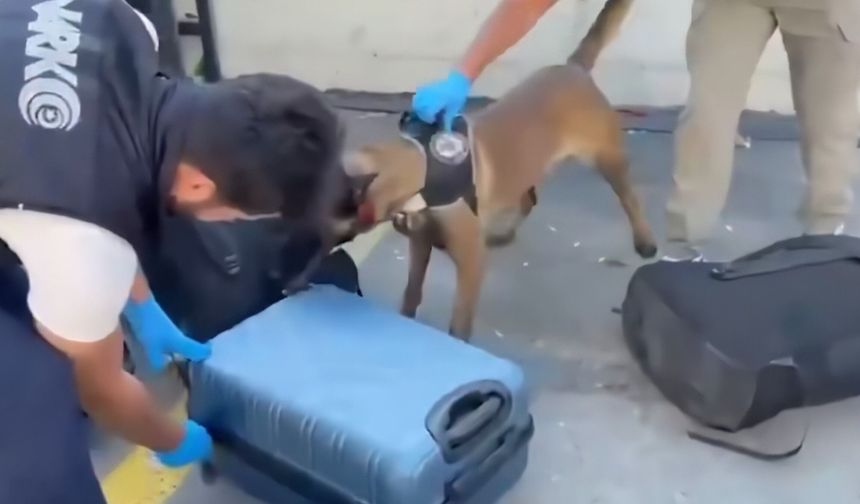 Uşak'ın da bulunduğu 71 ilde operasyon