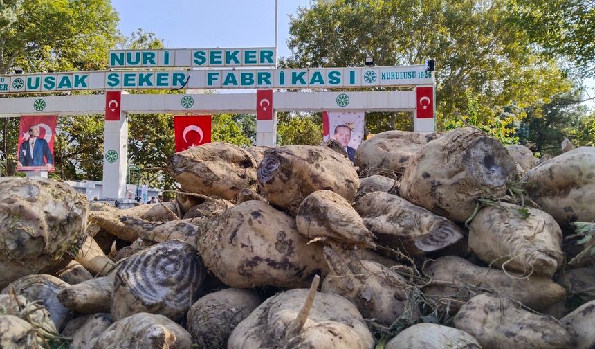Nuri Şeker Uşak Şeker Fabrikası'nda bu dönemde 24 bin 500 ton kristal şeker üretilecek