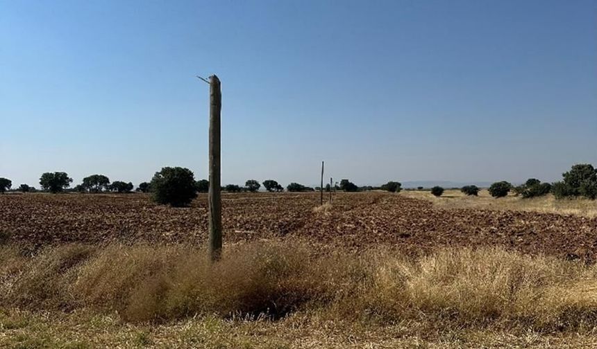 Uşak Sivaslı'ya bağlı Tatar ve Ağaçbeyli arasındaki fiber kabloyu çalanlar tutuklandı