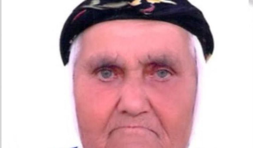 Uşak Banaz Ahat'ta kaybolan Fadime Tosun'un bulunması için yoğun çalışma