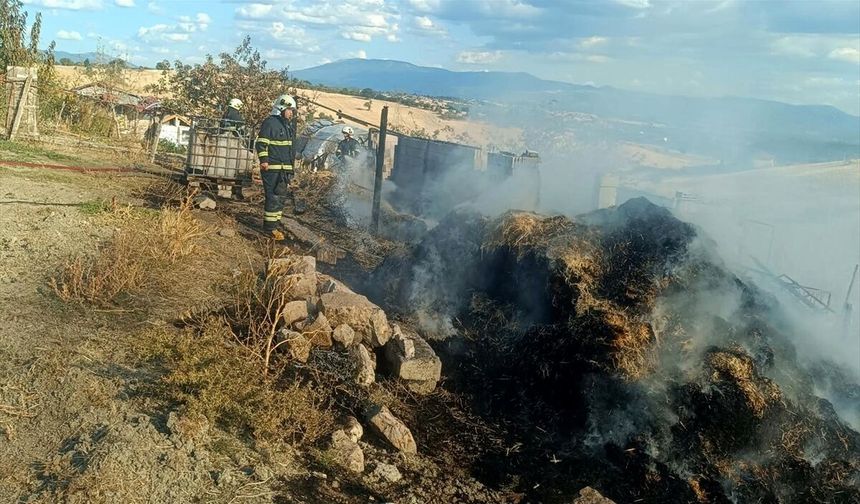 Gediz Tepepınar'dan Hamza Dayan, çıkan ahır yangınında vefat etti