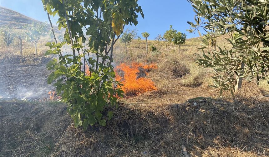 Alaşehir'de otluk alanda çıkan yangın tarım arazilerine sıçradı