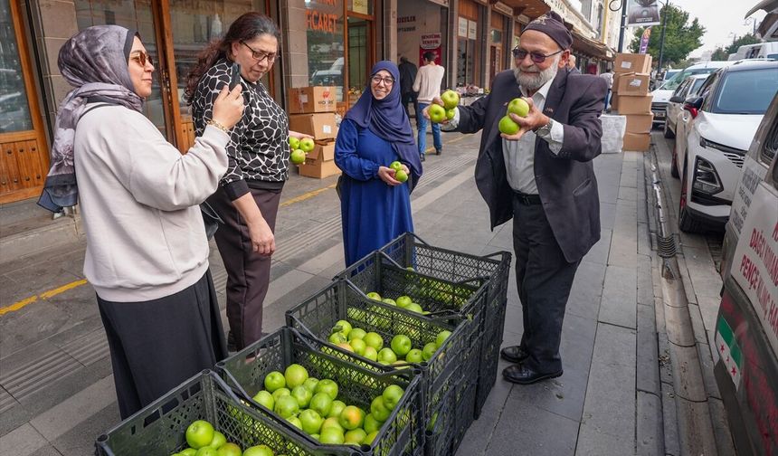Elmacı Dede, Çivril'deki 1300 kilo elmayı Diyarbakır'da askerlere ve vatandaşa dağıttı