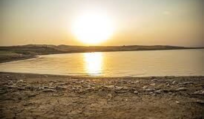 Uşak'ın da aralarında bulunduğu 30 ilde gençlik ve iklim çalıştayları yapılacak