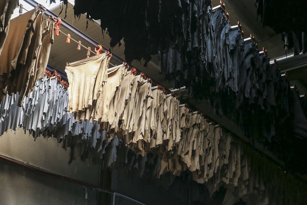 AA-20230624-31511236-31511227-KURBAN_DERILERININ_YUZDE_30U_HATALI_ISLEMLER_NEDENIYLE_EKONOMIYE_KAZANDIRILAMIYOR