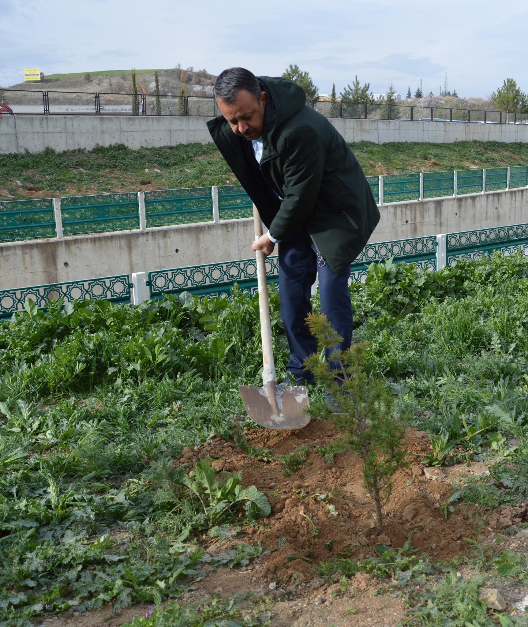 Başhekim2