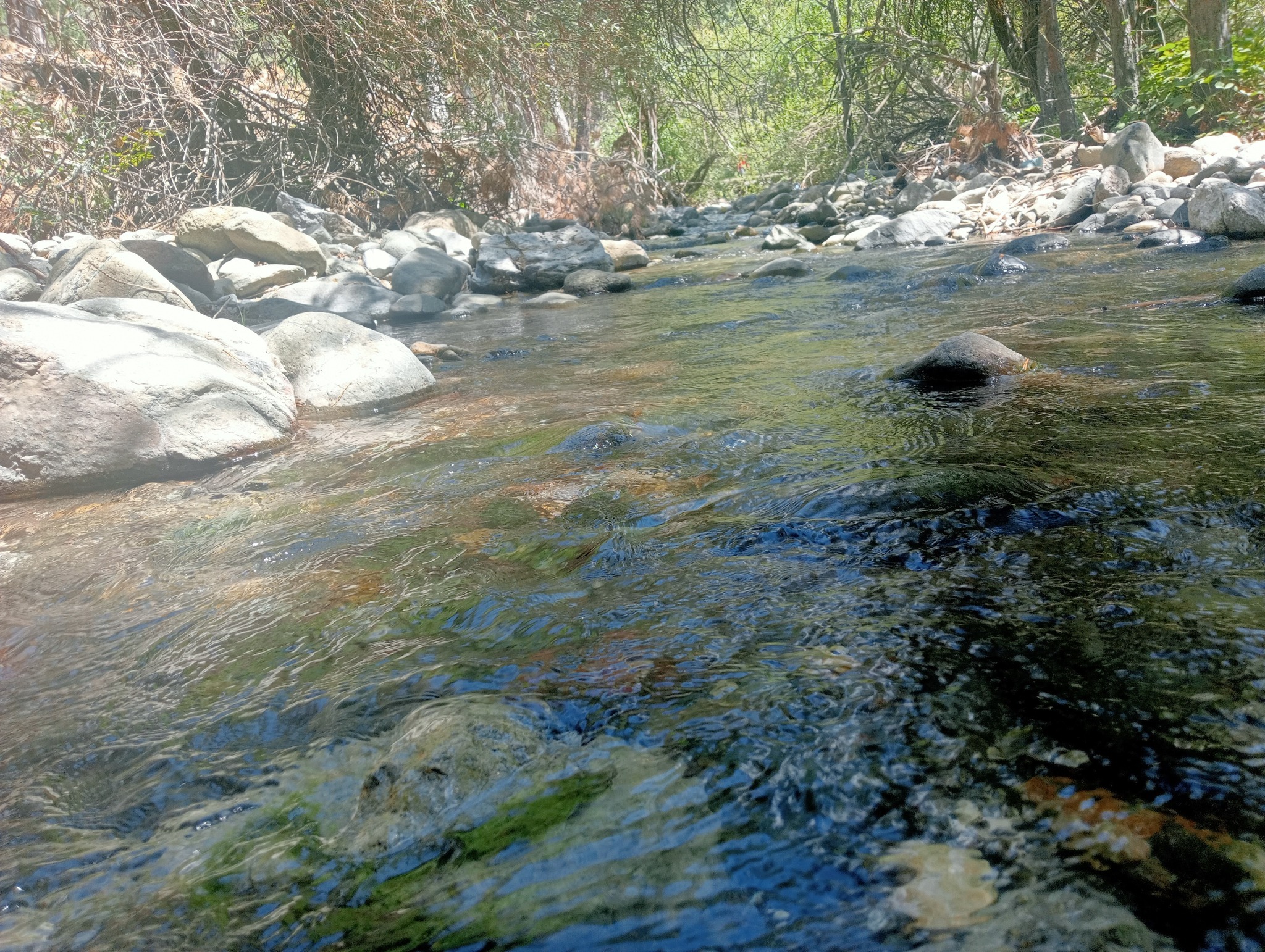 Murat Dağı3