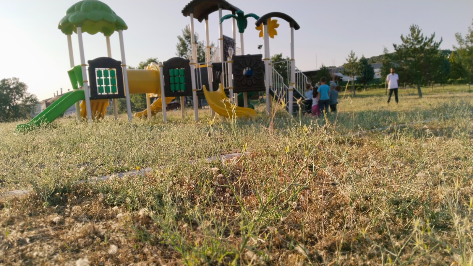Park1