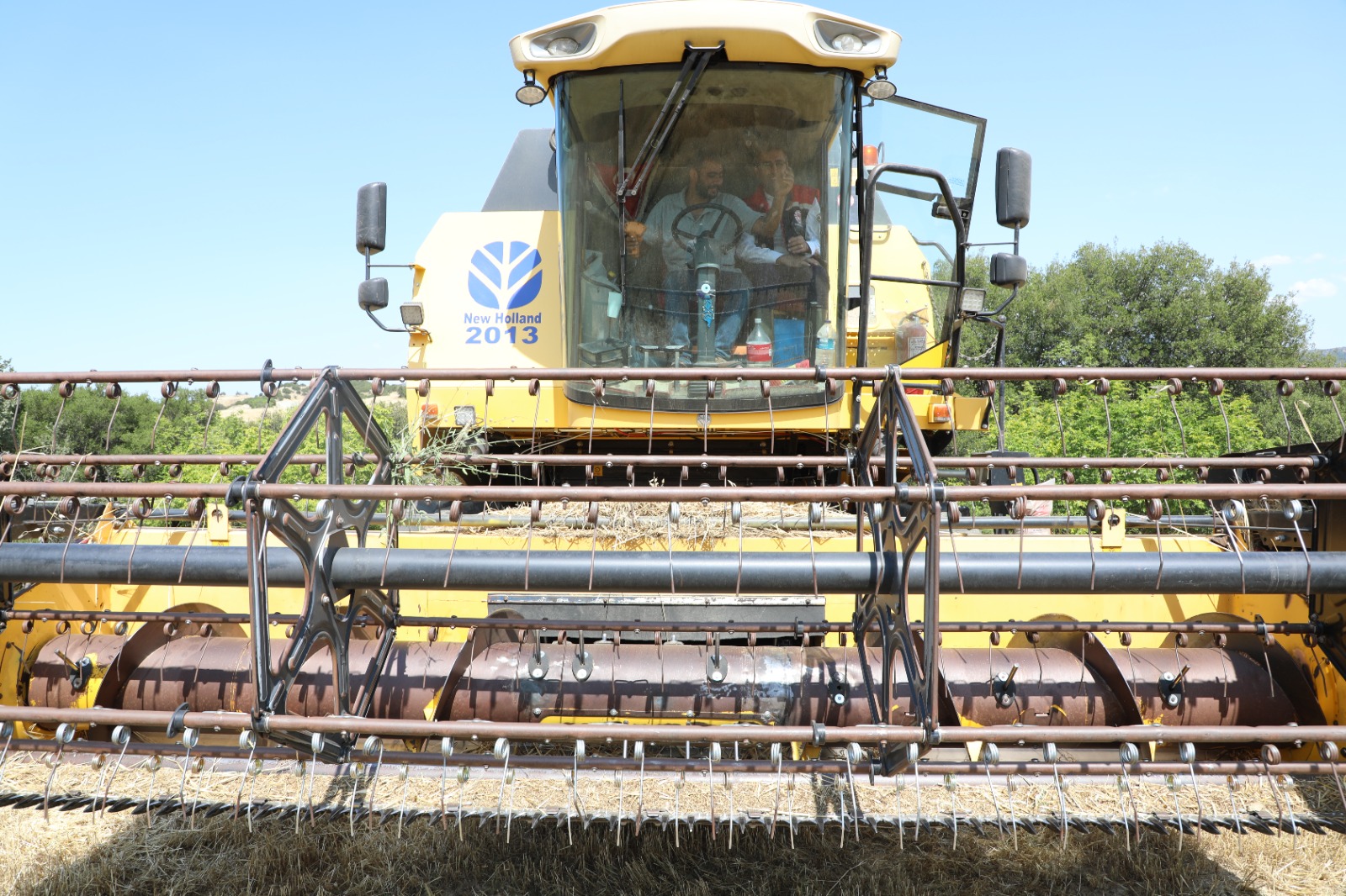 Tarım5